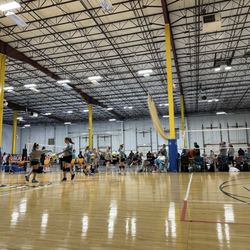 Rogue Volleyball - Tournament