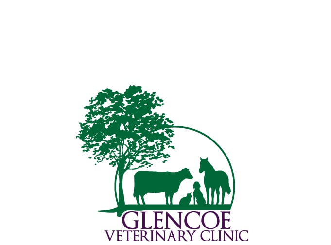 GLENCOE VETERINARY CLINIC Updated May 2024 Yelp
