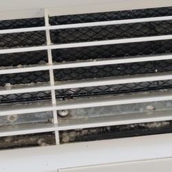 The Rehabilitation Center Of Winter Park - A close up of the mold that the patients are breathing in