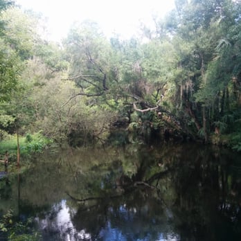 Morris Bridge Park - Recreation Centers Near Me - Thonotosassa, Florida Morris Bridge Park - Recreation Centers Near Me - Thonotosassa, Florida