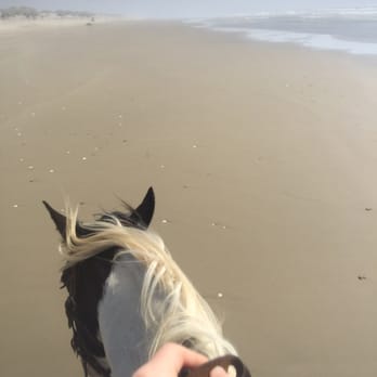 C & M Stables - Horseback Riding Near Me - Florence, Oregon