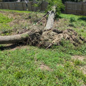 Southern Grind Stump & Tree Removal - The tree split and fell both ways. - Tree Services Near Me - Augusta, Georgia Southern Grind Stump & Tree Removal - The tree split and fell both ways. - Tree Services Near Me - Augusta, Georgia
