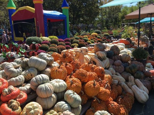 North Richland Hills Farmers Market by null