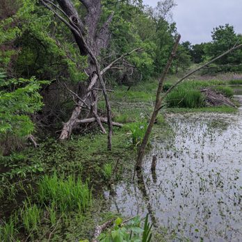 Connemara Conservancy - Natural wetlands - Parks Near Me - Allen, Texas