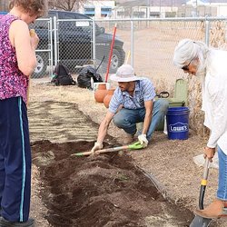 Thrive and Grow Gardens
