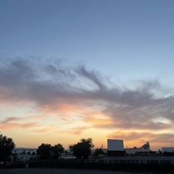 Vineland Drive-In