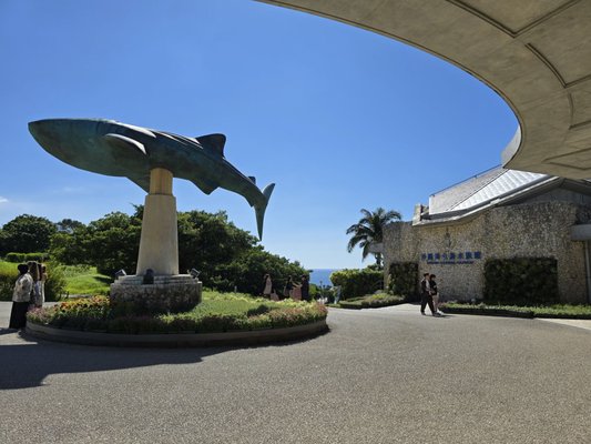 Okinawa Churaumi Aquarium by null