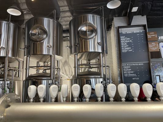 True Anomaly Brewing Company by null