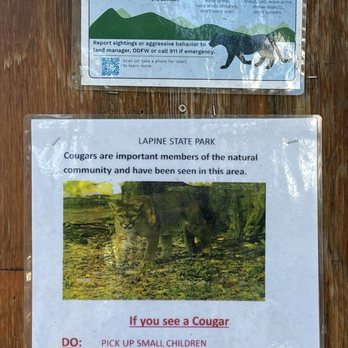 LaPine State Park - August 27, 2025 - Every rose has it's thorn - Cougar sightings. - Parks Near Me - La Pine, Oregon