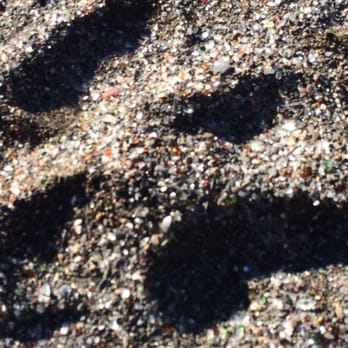 Glass Beach - Beaches Near Me Glass Beach - Beaches Near Me