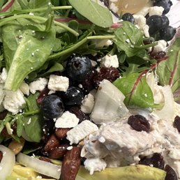 Field Greens Salad