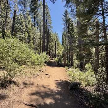 Calaveras Big Trees State Park - Parks Near Me - Arnold, California