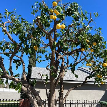 1. GPL Horticulture