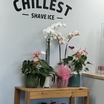Chillest Shave Ice - Shaved Ice Near Me - Honolulu, Hawaii
