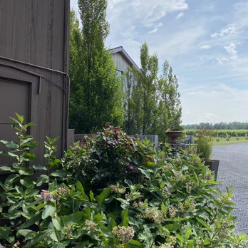 Hermann J. Wiemer Vineyard - Entrance area - Wineries Near Me - Dundee, New York Hermann J. Wiemer Vineyard - Entrance area - Wineries Near Me - Dundee, New York