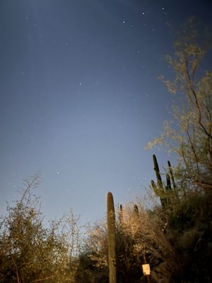 Loews Ventana Canyon Resort by null