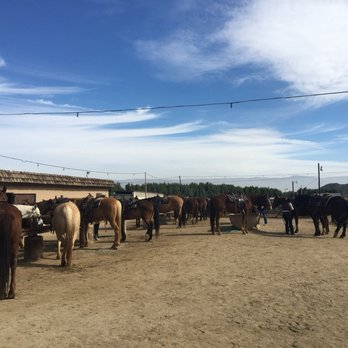 Smoke Tree Stables - Horseback Riding Near Me - Palm Springs, California