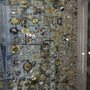 Photo of Silver Karatism