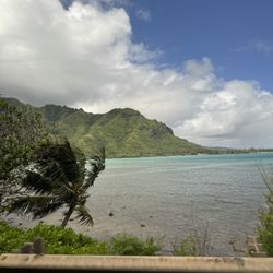 The Real Hawaii