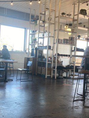 Rêve Coffee Roasters by null