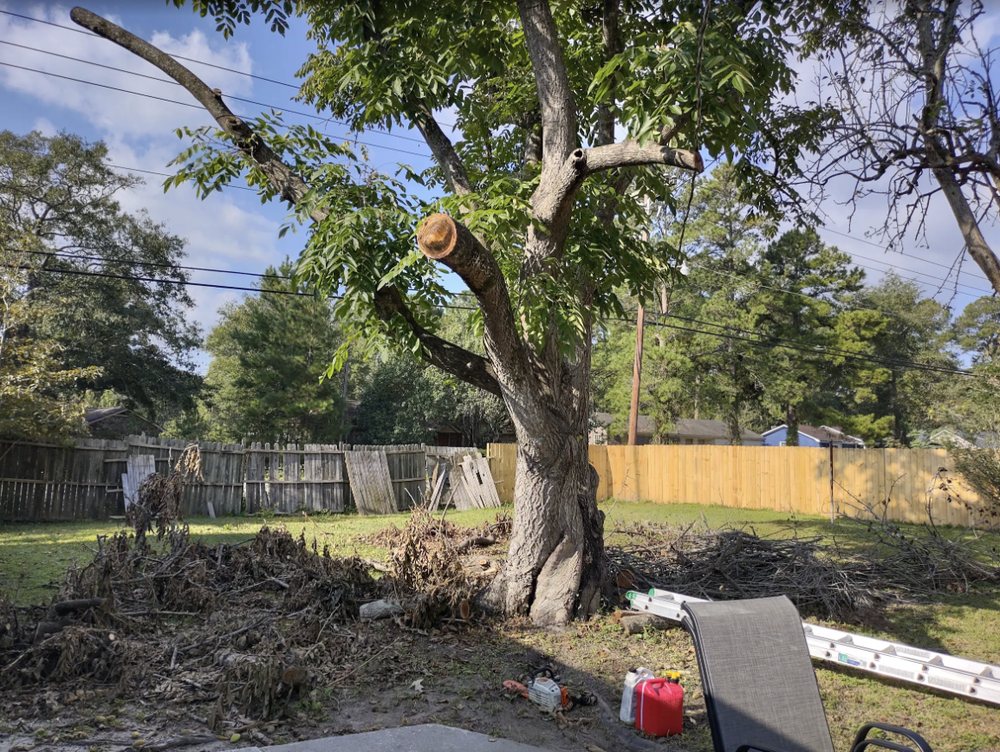 Gomez Trees & Lawn Service - tree service in Charleston, SC