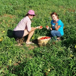 Rettig Farms - Such great produce!!!