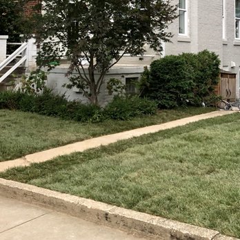 Bluegrass Landscaping & Tree Service - New sod - Tree Services Near Me Bluegrass Landscaping & Tree Service - New sod - Tree Services Near Me