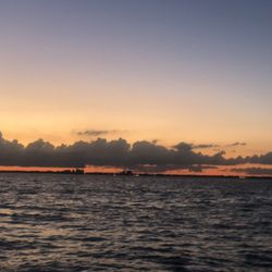 Grove Isle Marina