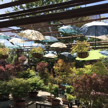 High Hand Cafe - New American Near Me - Loomis, California High Hand Cafe - New American Near Me - Loomis, California