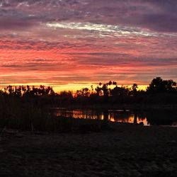 The Palms at River Edge