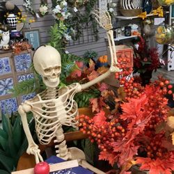 Phoebe - Happy Halloween