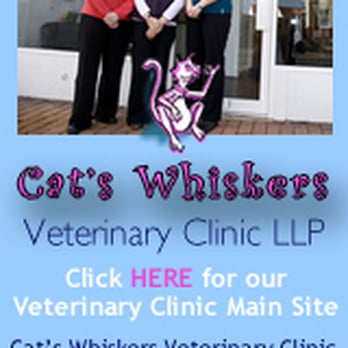 Cats Whiskers - Veterinarians Near Me - Worthing, WSX