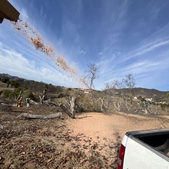 Environmental Tree Service and Landscape - Tree Services Near Me Environmental Tree Service and Landscape - Tree Services Near Me