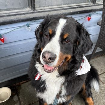 Redmond's Bar & Grill - Dog friendly - American Near Me - Redmond, Washington