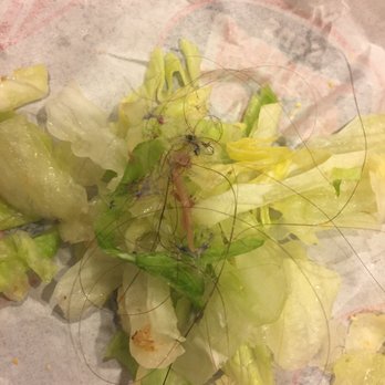 Jersey Mike's Subs - Absolutely disgusting!!!!!! How is this possible?? - Sandwiches Near Me - Danville, California Jersey Mike's Subs - Absolutely disgusting!!!!!! How is this possible?? - Sandwiches Near Me - Danville, California