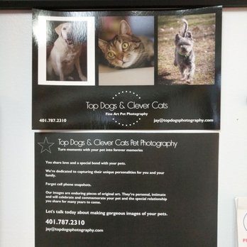 Top Dogs & Clever Cats - Pet Photography Near Me Top Dogs & Clever Cats - Pet Photography Near Me