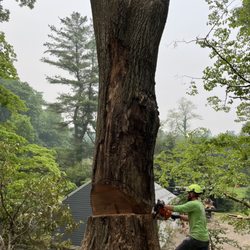 Malverde Tree Services