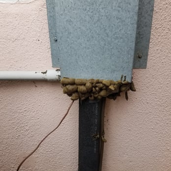 Terminix - Exclusion job..Professional?Nope..DISGUSTING - Pest Control Near Me - San Bernardino, California Terminix - Exclusion job..Professional?Nope..DISGUSTING - Pest Control Near Me - San Bernardino, California