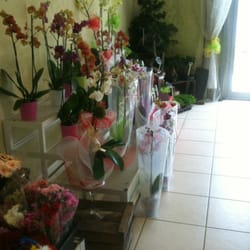 Multi Fleurs