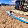Photo of Kilohana Surf School