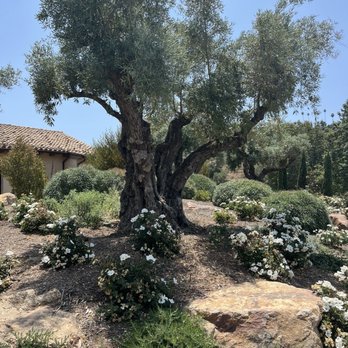 Monserate Winery - Monserate terrace - Wineries Near Me - Fallbrook, California