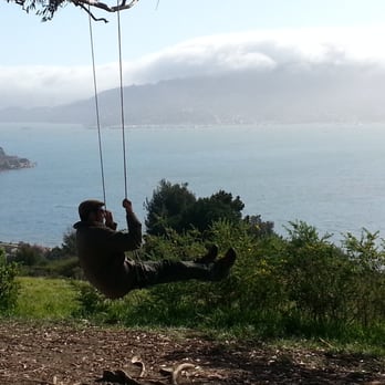 Hippie Tree - Hiking Near Me - Tiburon, California