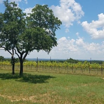 All About Central Texas - One of our tour stops - Lewis Wines - Food Tours Near Me