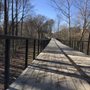 Photo of Proctor Creek Greenway Trail