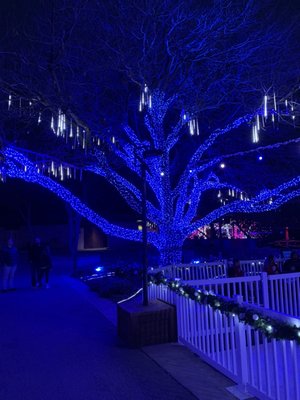Abilene Zoo by null