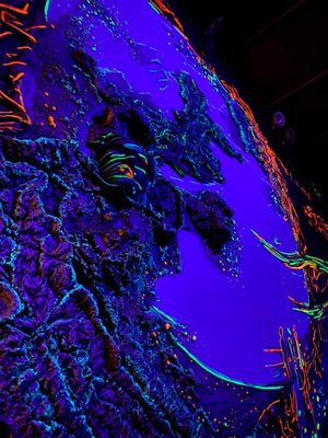 The Rusty Face by null