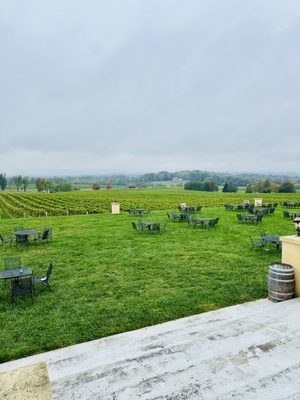 Breaux Vineyards by null