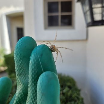 Dedicated Pest Control - Pest Control Near Me