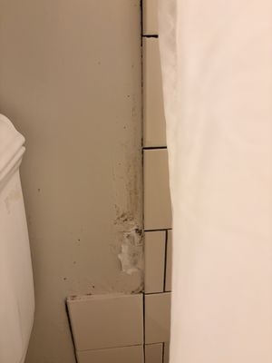 Ace Hotel New York by null