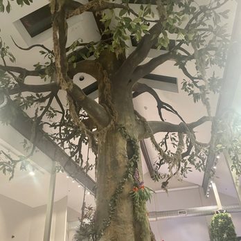 Mount Laurel Animal Hospital - beautiful inside (11/26/23) - Veterinarians Near Me - Mount Laurel, New Jersey